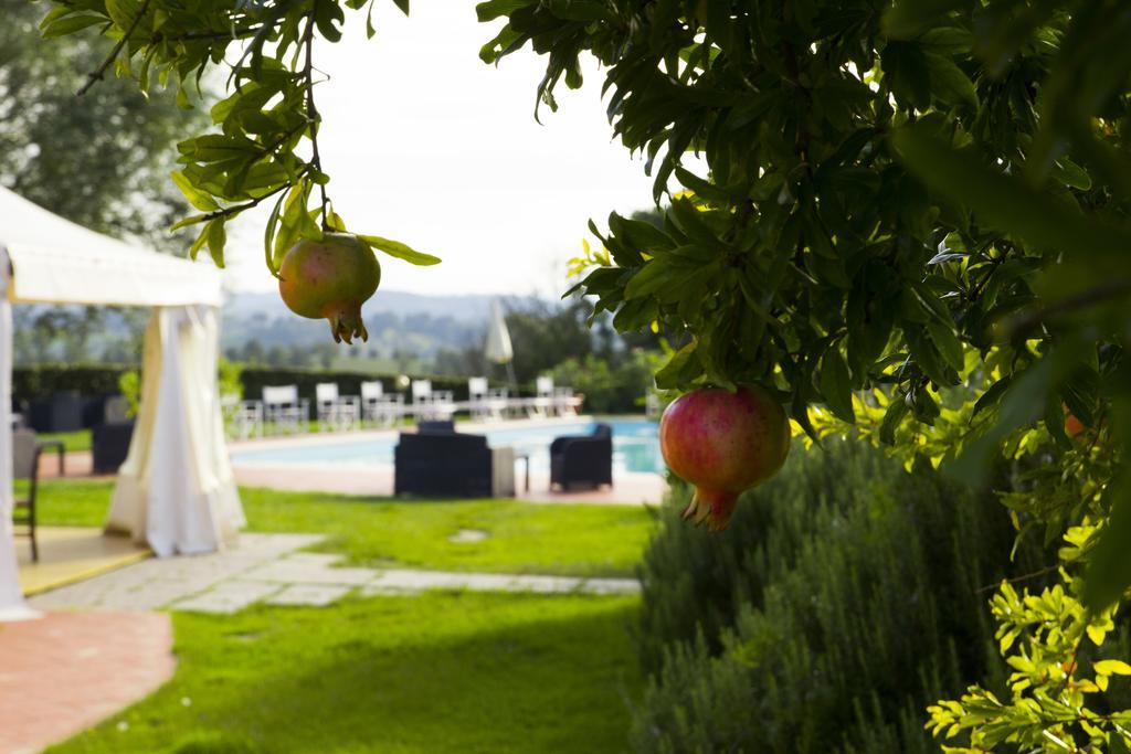 Agriturismo Marrucola San Miniato Bagian luar foto